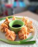 Siu Mai Fritos 👍🇵🇪