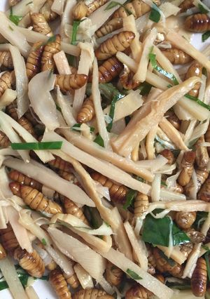 Hình của món Nhộng Xào Măng.