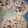 Es cream coklat chococip