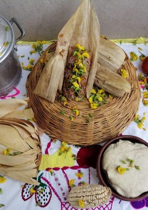 Una foto de Tamal de chepil (ticoo srscula)