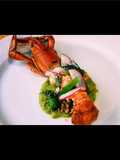 กุ้งก้ามแดงลุยสวน