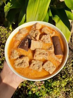 Foto resep Sayur santan pedas (tahu, tempe, terong)