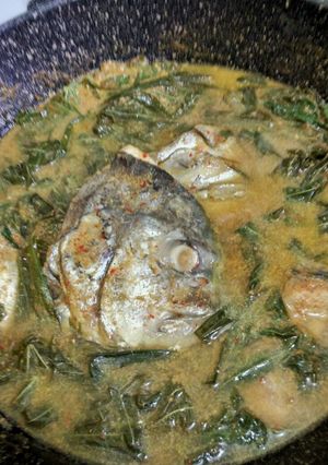 Foto resep Ikan gulai daun singkong