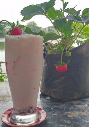 Foto resep Milky Berry Zoda Brust