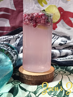 A picture of Pomegranate Mocktail.