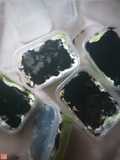 Brownies Alpukat Dessert