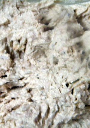 A picture of SmoKed Salmon Spread.