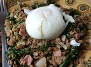 A picture of green lentil salad