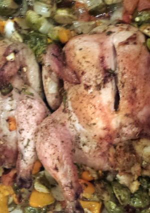 A picture of Zax's Simple Hens.