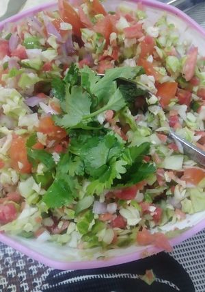 સલાડ (Salad Recipe In Gujarati) રેસીપી મુખ્ય ફોટો