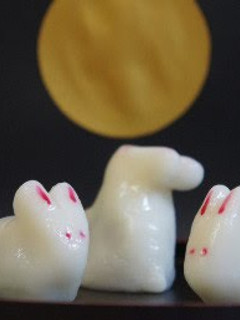 A picture of Rabbit Dango.