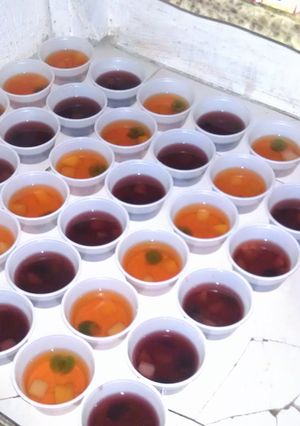 A picture of Fruity Jell-O shots.