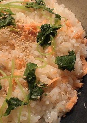 A picture of Salmon Okowa (Sticky Rice) for Flower Viewing or Bento.