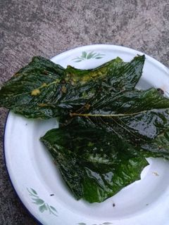 Foto resep Kripik bayam