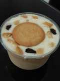Anabolic Yogurt Vanilla Pudding |High Protein, Low Calorie, Sugar & Gluten Free