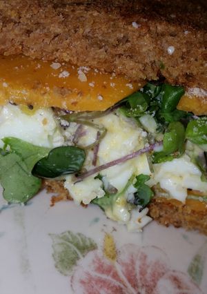 A picture of Egg Salad Super Sandwich.