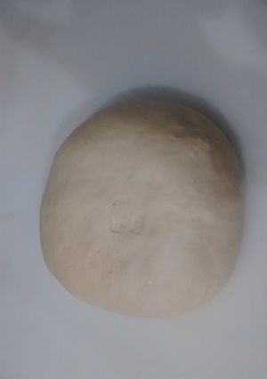 A picture of Sourdough pizza dough.