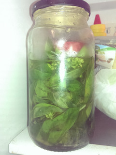 A picture of Preserved Basil in Olive Oil.