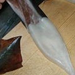A picture of How to Skin a Japanese Squid.