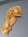 Cristal de azúcar con pepitas