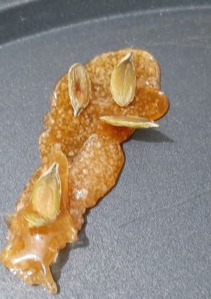 Una foto de Cristal de azúcar con pepitas