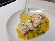 A picture of lobster risotto