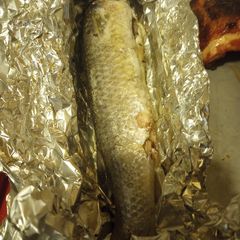 Fresh Mullet on a Grill A picture of Fresh Mullet on a Grill.