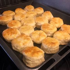 A picture of Biscuits.