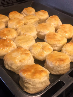 A picture of Biscuits.