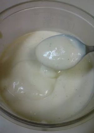 A picture of A Tenth the Calories! Homemade mayonnaise.