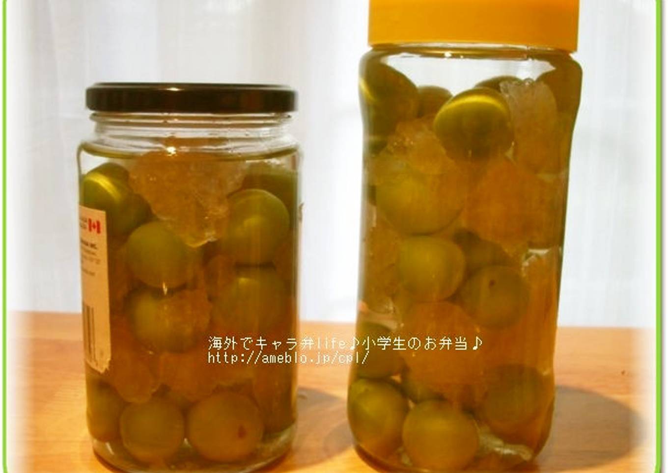 Vodka-Based Umeshu - Make Umeshu Abroad