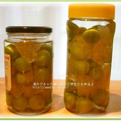 Vodka-Based Umeshu - Make Umeshu Abroad A picture of Vodka-Based Umeshu - Make Umeshu Abroad.