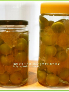 A picture of Vodka-Based Umeshu - Make Umeshu Abroad.