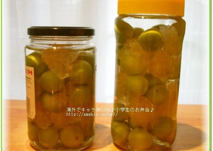 Vodka-Based Umeshu - Make Umeshu Abroad