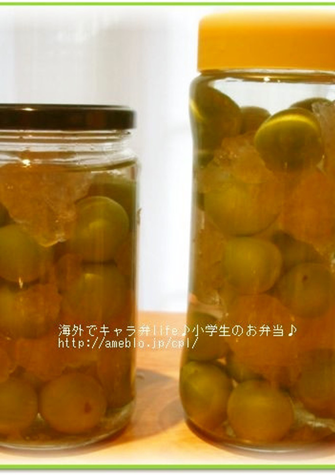 A picture of Vodka-Based Umeshu - Make Umeshu Abroad.