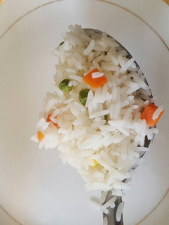 A picture of Mixed Vegetable Rice.