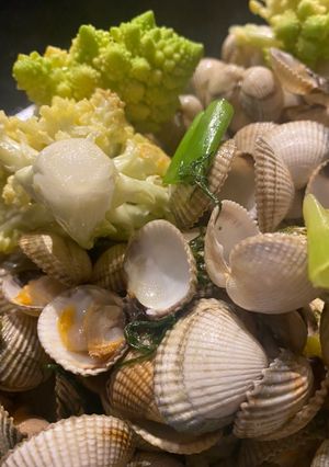 Une photo de Coques au chou Romanesco