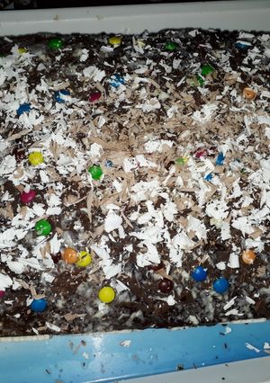 صورة لوصفة كيكة شوكولاتة بصوص الشوكولاتة