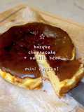 Vanilla Bean Basque Cheesecake