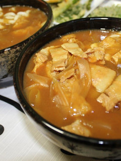 A picture of The Best Curry Udon.