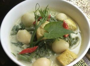 Foto resep Lodeh pucuk daun labu siam/waluh kecil