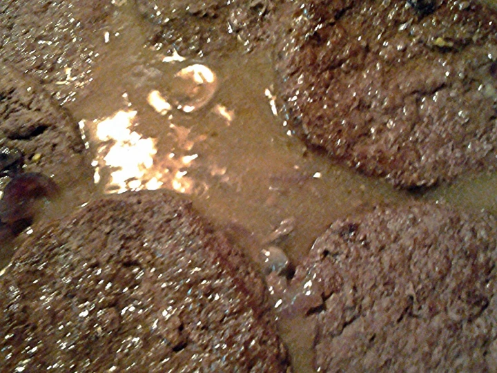 Easy Ways Prepare Recipes onions mushrooms and sirloin burgers in gravy the Delicious Perfect.