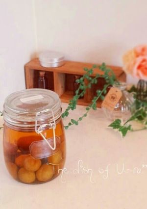 A picture of My Family's Umeshu Recipe with a Secret Step.
