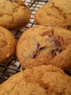 A picture of Pumpkin Chocolate Chip.
