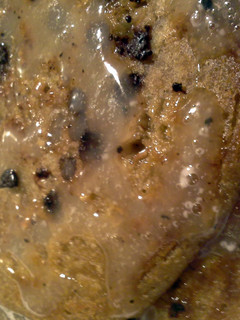 A picture of Espresso Chocolate Chip Pancakes.
