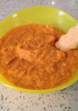 A picture of Chicken With Carrots & Apple Purée.