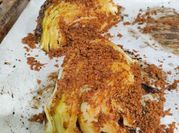 A picture of fermented cabbage