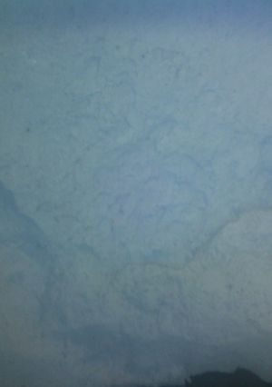 A picture of All purpose Seasoned Flour.
