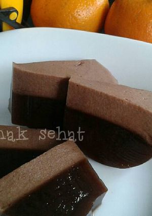 Foto resep Puding Busa Coklat Sehat