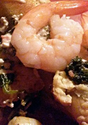 A picture of Sig's Prawn and Spinach stuffed Canneloni.